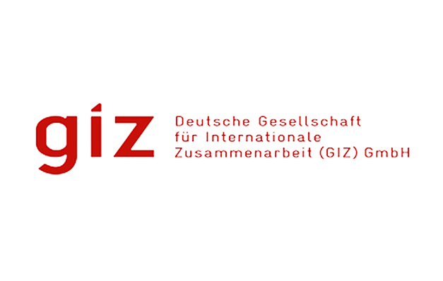 GIZ_Logo-removebg-preview